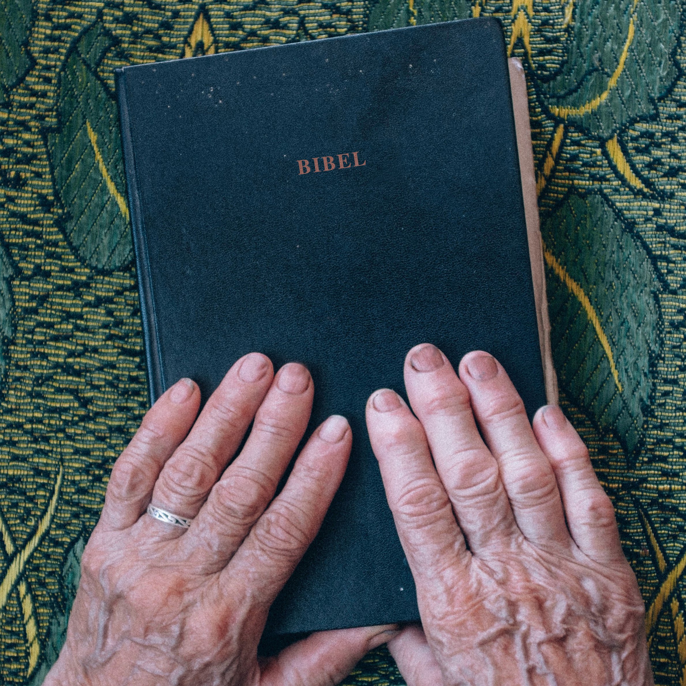 raul-petri-AdWDaFEJfDY-unsplash 2